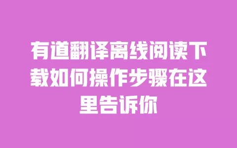 有道翻译离线阅读下载如何操作步骤在这里告诉你 一