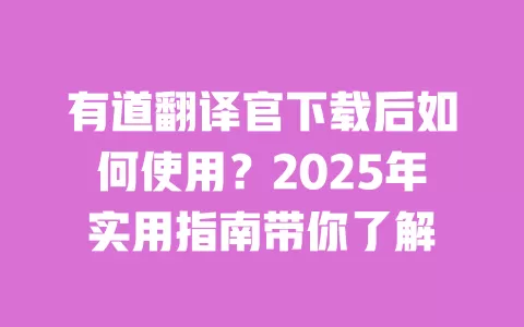 有道翻译官下载后如何使用？2025年实用指南带你了解 一