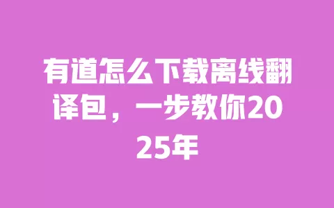 有道怎么下载离线翻译包,一步教你2025年 一