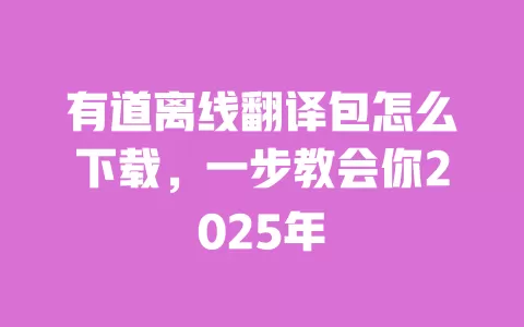 有道离线翻译包怎么下载,一步教会你2025年 一