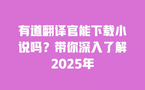 有道翻译官能下载小说吗？带你深入了解2025年 一
